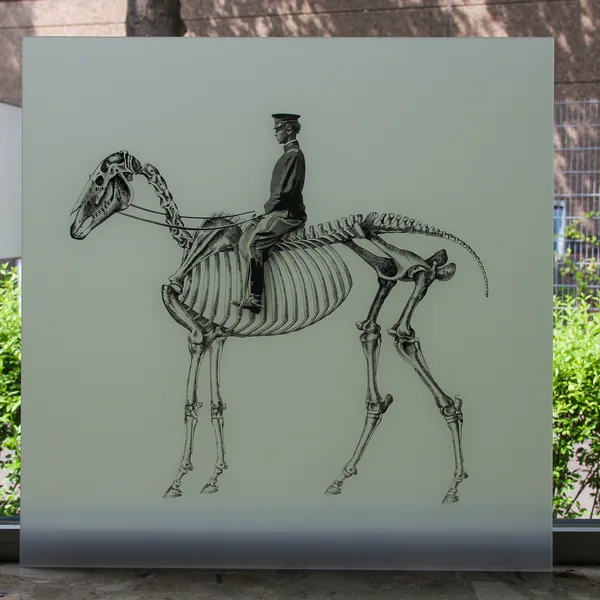 Schwarz-Weiß-Pferdemotiv hinter Acrylglas – Galerie-Print Hamburg