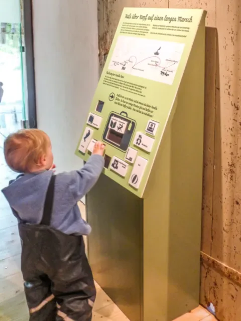 Bedrucktes interaktives Info-Display am Point of Sale – Ladenbau-Digitaldruck Hamburg